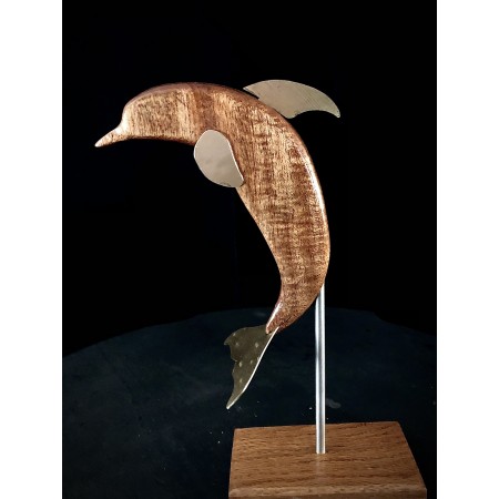 Jumping Dolphin  